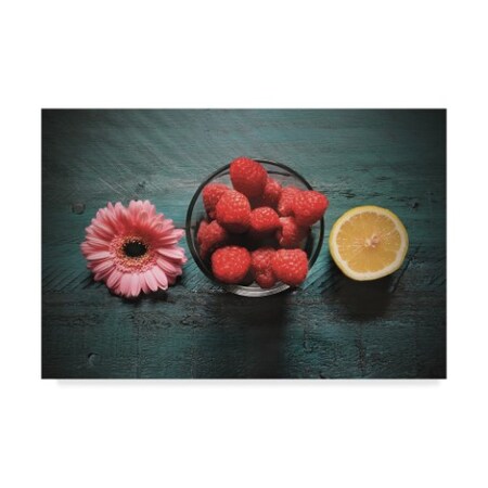 Christine Sainte-Laudy 'Flower Raspberry Lemon' Canvas Art,22x32